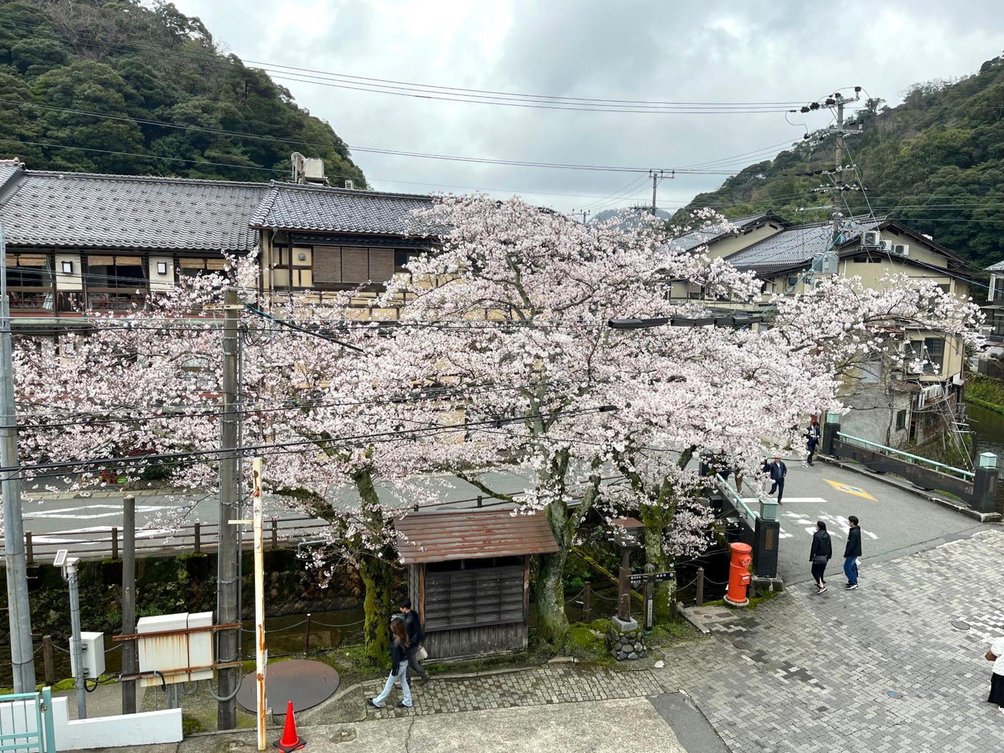 城崎温泉一棟貸し　旅宿yadokari Тойоока Екстер'єр фото
