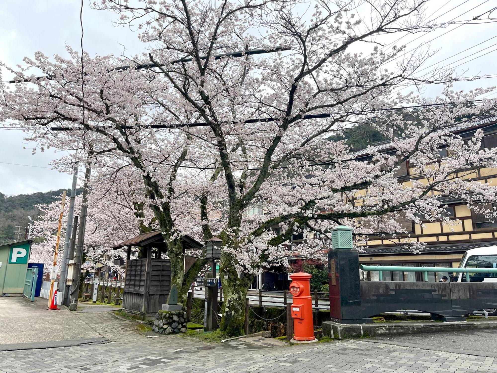 城崎温泉一棟貸し　旅宿yadokari Тойоока Екстер'єр фото